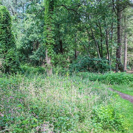Huiske oan t bos Lage Mierde Eksteriør bilde